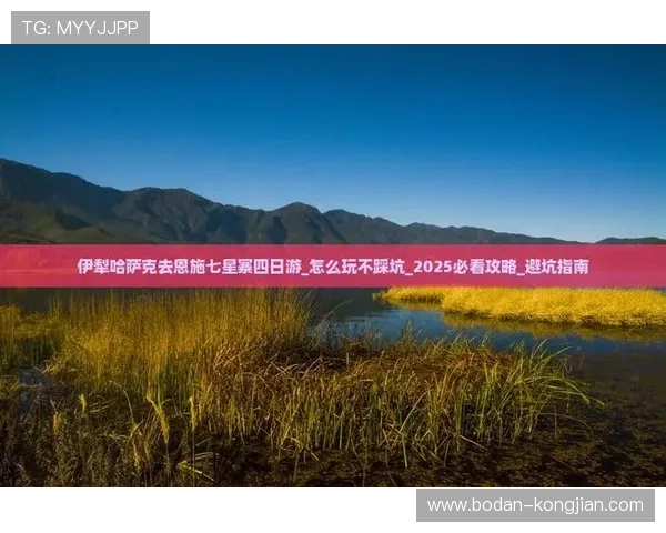 买波胆不中策略改变避坑指南品牌入口下载评测